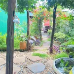 Bán đất hẻm Đỗ Nhuận Buôn Ma Thuột 115m² - Ảnh thu nhỏ 2
