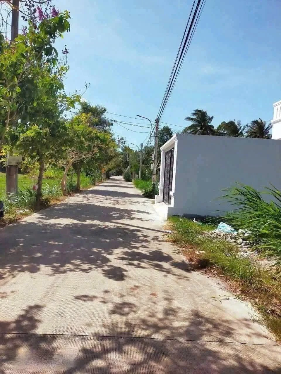 Bán nền mặt tiền Lộ Cầu Gừa, Bến Tre, 200m², 1 tỷ 456 triệu - Ảnh 1