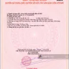 Quá rẻ - đất biển Lộc An - cách bãi tắm Lộc An 700m - ngay chợ - trường học - DT 456m2 - 11x42m - Ảnh thu nhỏ 15