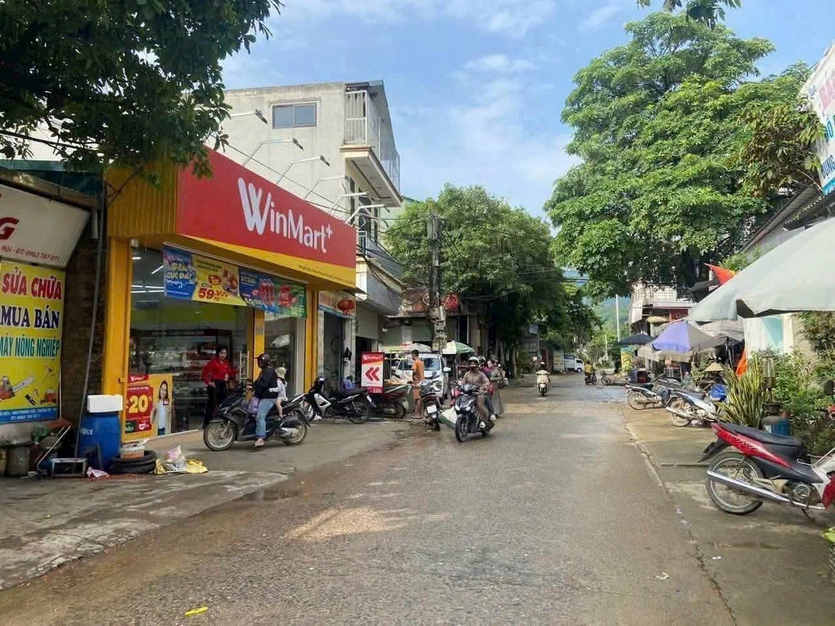 Bán lô đất trục chính kinh doanh 99.5m² Xuân Mai Hà Nội - Ảnh thu nhỏ 4