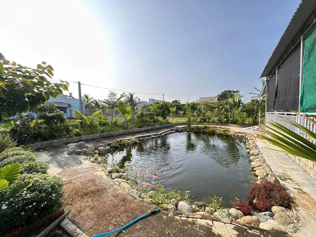 Bán nhà vườn 440m2 Phường Bình Thuận, Phan Thiết - Ảnh thu nhỏ 5