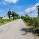 Bán đất góc 2 mặt tiền Tỉnh Lộ 833, 185m² ở Tân Trụ - Ảnh thu nhỏ 3