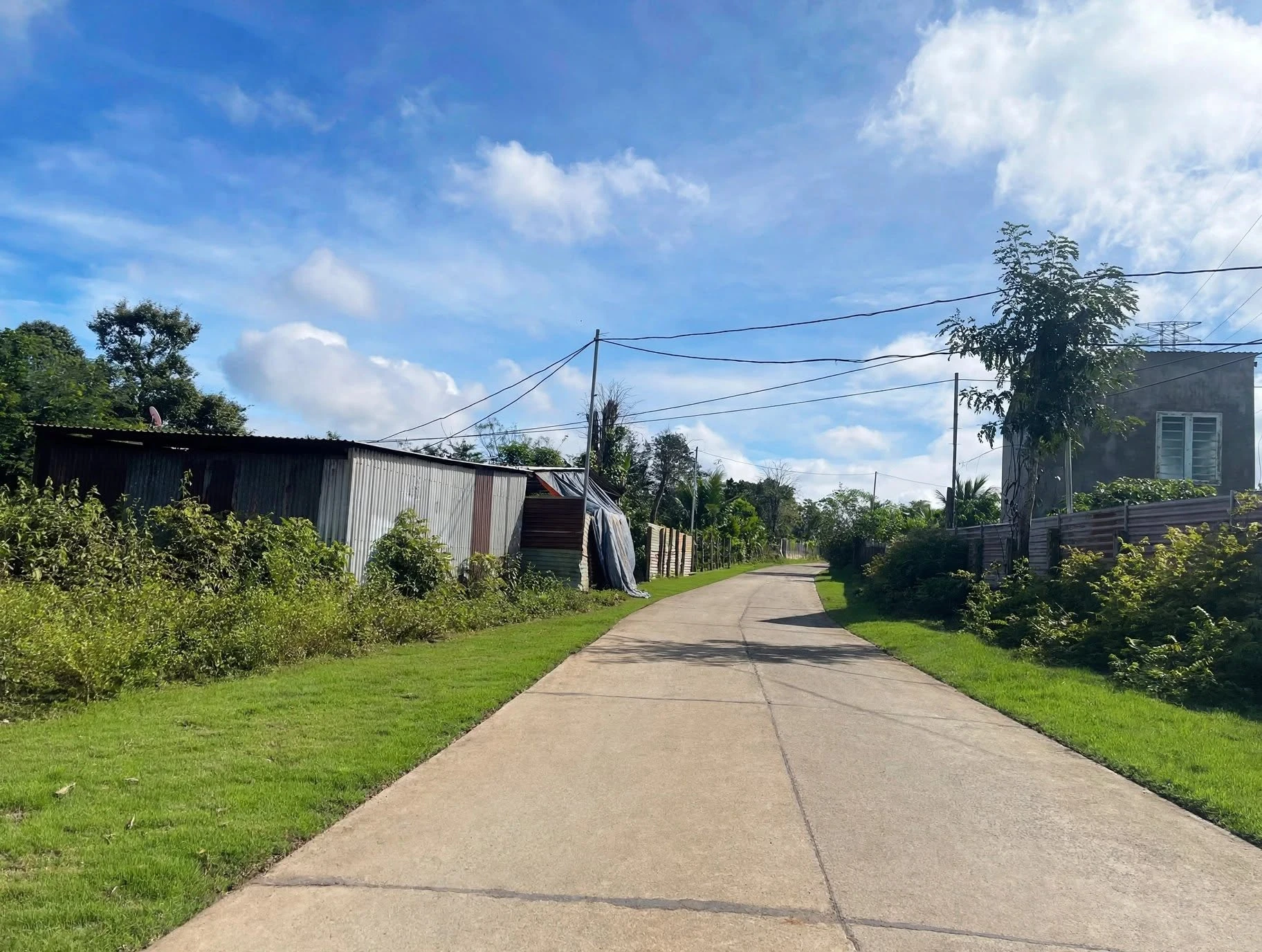 Bán đất nông nghiệp 1.800m² ở Eakao, Đắk Lắk 1,15 tỷ - Ảnh 1