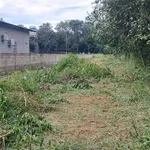Bán đất 4.824m2 có 4.000m2 đất SKC ngành gỗ gần ĐT744, Dầu Tiếng - Ảnh thu nhỏ 4
