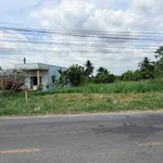 Bán đất thổ cư mặt tiền Cao Thị Mai 260m2, 1,4 tỷ/nền, Bình Trinh Đông, Tân Trụ, Long An - Ảnh thu nhỏ 3