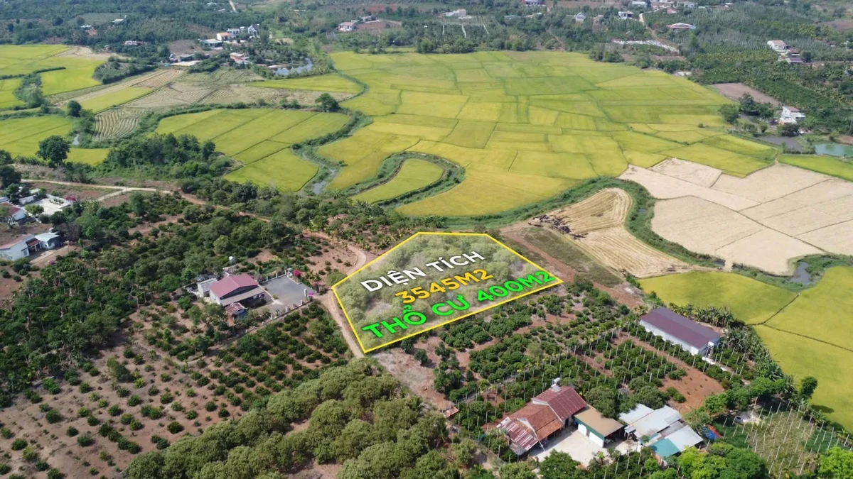 Bán đất vườn 3545m² view suối Ea Hu Đắk Lắk - Ảnh thu nhỏ 3