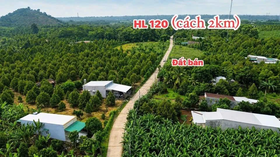 Bán đất Đồng Nai 115m2 giá 299 triệu - Ảnh thu nhỏ 2