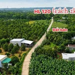 Bán đất Đồng Nai 115m2 giá 299 triệu - Ảnh thu nhỏ 2