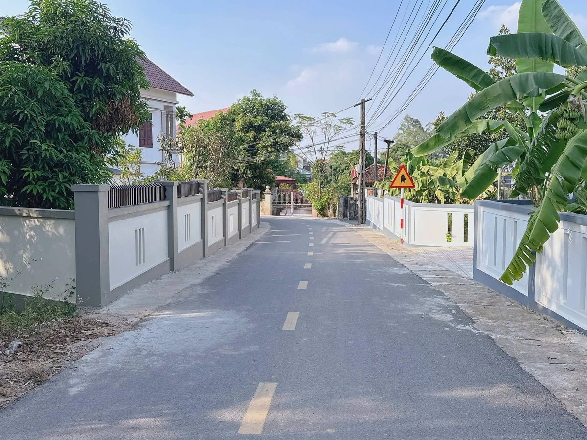Bán đất góc 2 mặt tiền Thanh Đình Hóc Môn 95m2 - Ảnh thu nhỏ 2
