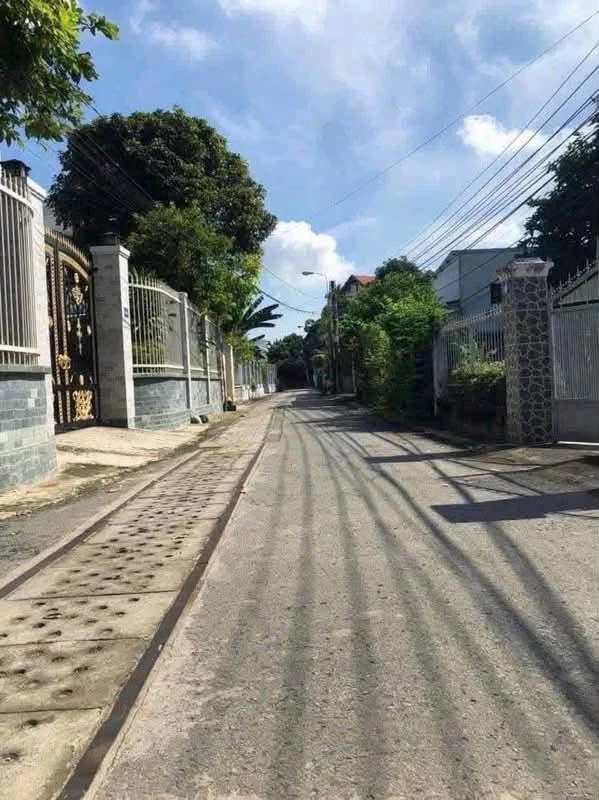 Bán lô đất 224m2 phường Chánh Mỹ Thủ Dầu Một - Ảnh thu nhỏ 2