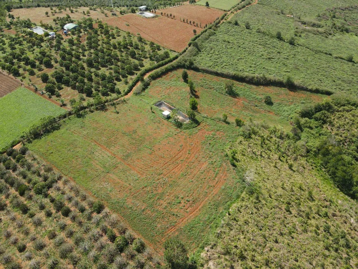 Bán đất 13.000m² Đức Trọng, Lâm Đồng, sổ hồng - Ảnh thu nhỏ 2