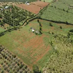 Bán đất 13.000m² Đức Trọng, Lâm Đồng, sổ hồng - Ảnh thu nhỏ 2