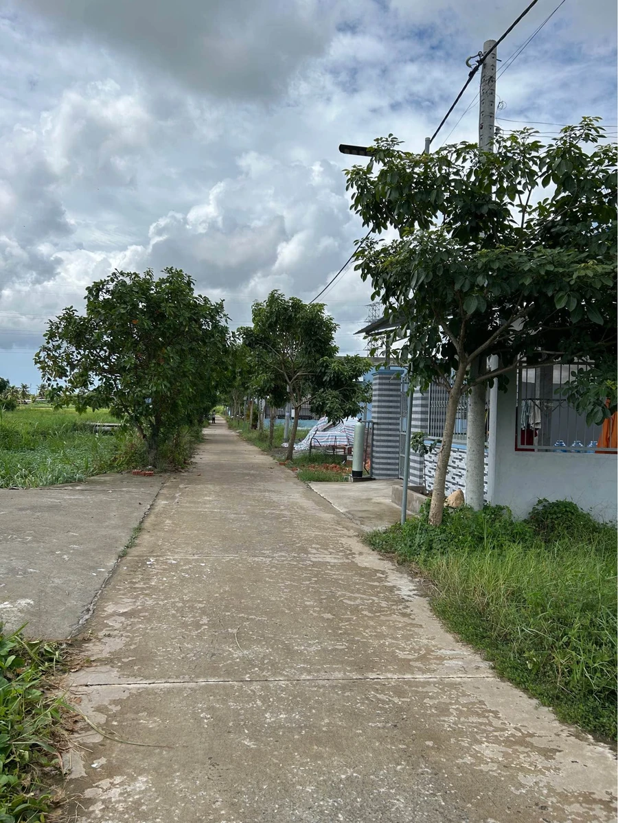 Bán đất 5x25m (125m²) Phường Long An, Tây Ninh 600 triệu - Ảnh thu nhỏ 4