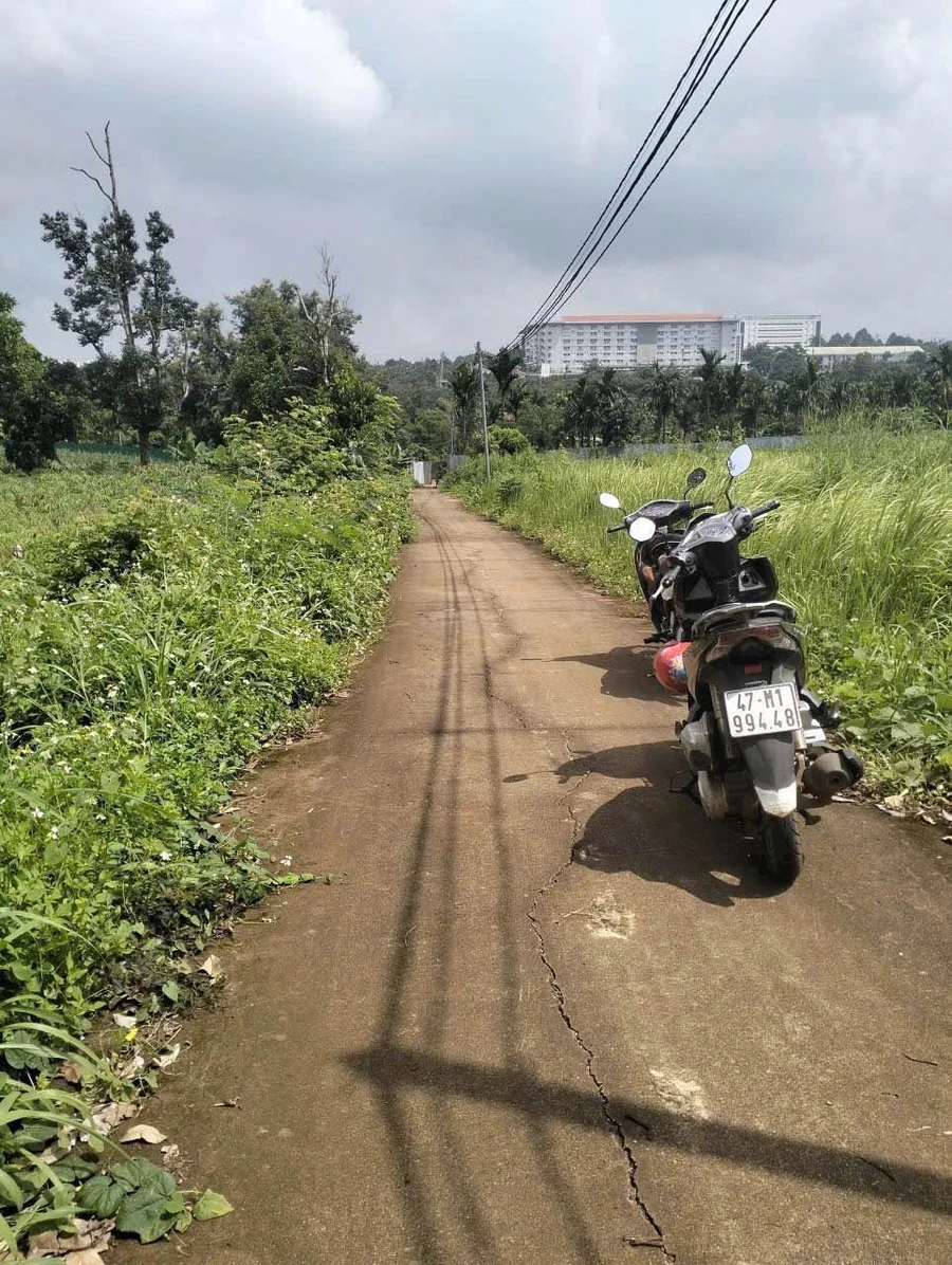 Bán 1 sào đất nông nghiệp Hóc Môn 1 tỷ 650 triệu - Ảnh thu nhỏ 2