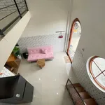 Bán dãy trọ 14 phòng full nội thất cạnh KCN Thạnh Lộc, 300m2 - Ảnh thu nhỏ 5