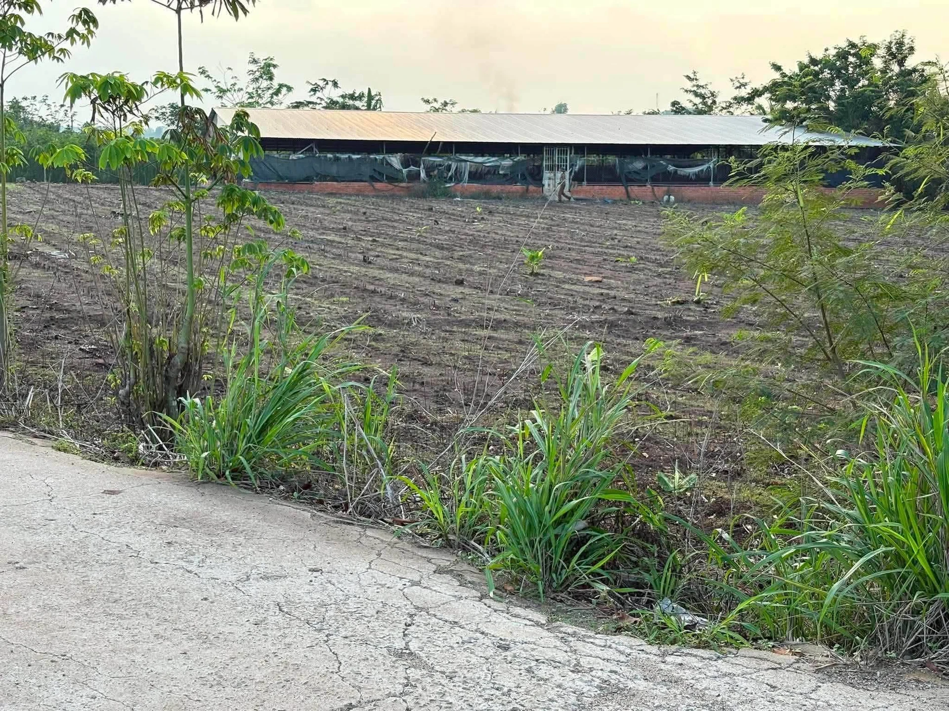 Bán đất nông nghiệp gần 1ha Cẩm Mỹ Đồng Nai - Ảnh 1
