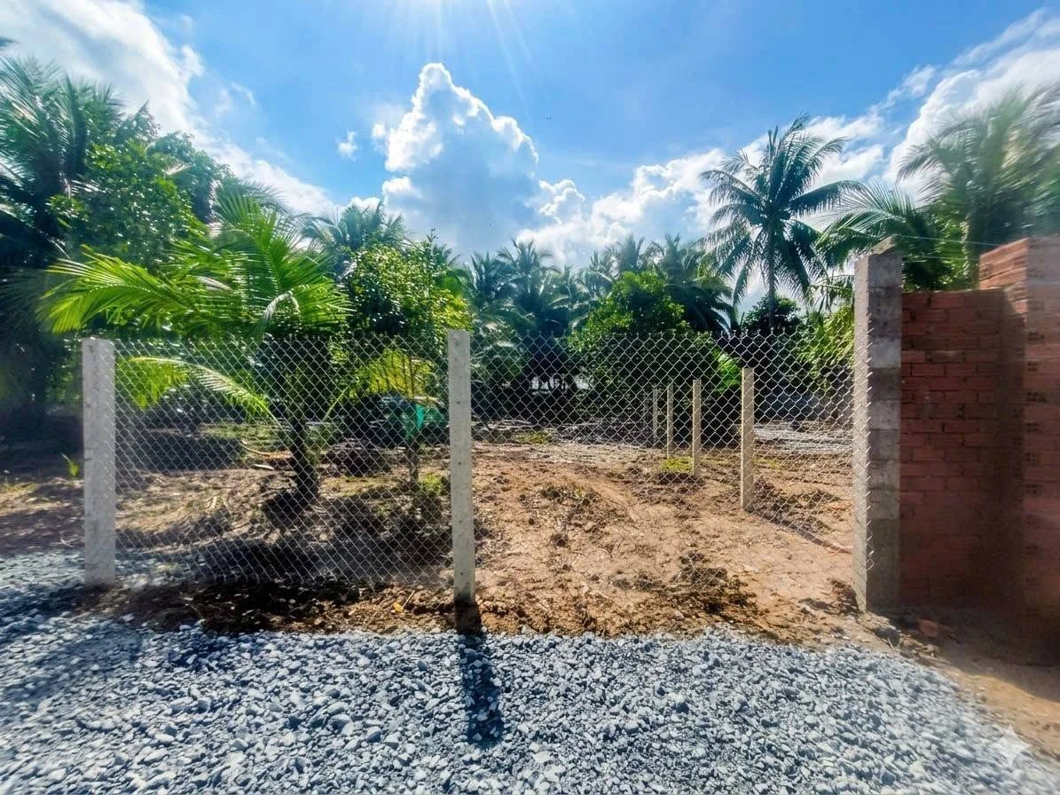 Bán đất Hóc Môn 280m² gần QL 60 giá 595 triệu - Ảnh thu nhỏ 4