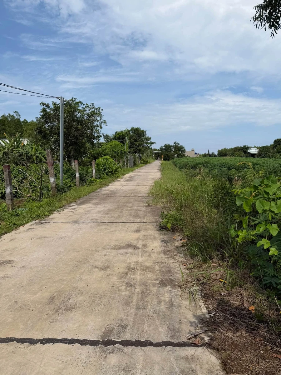 Bán đất 1000m² Xuân Thành Cần Giờ - Ảnh thu nhỏ 2