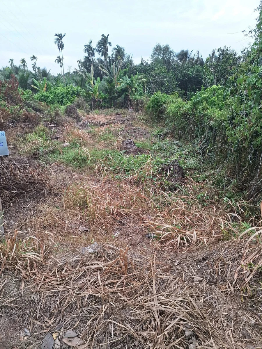Bán đất nền 5x32m (160m²) giá 1 tỷ 600 triệu - Ảnh thu nhỏ 5