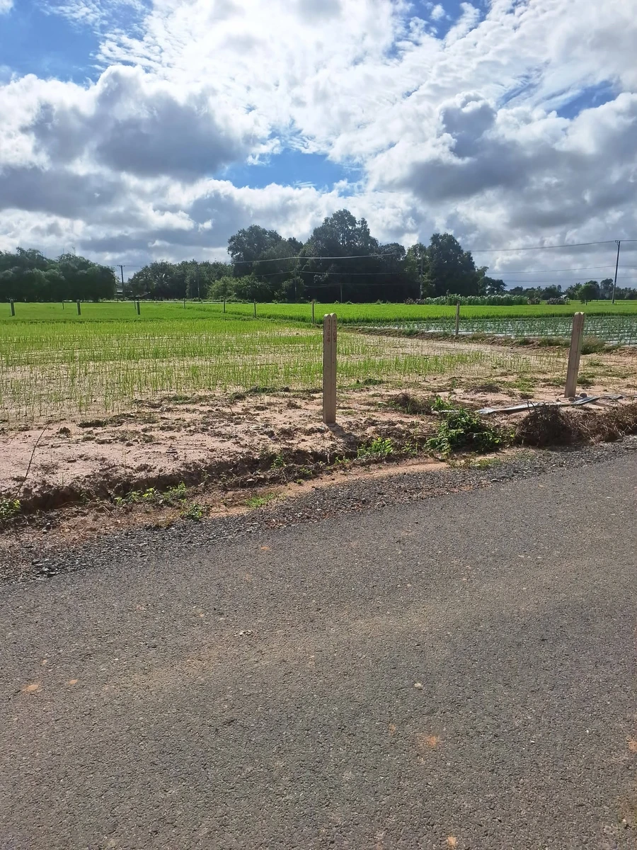 Bán lô đất 250m² đường nhựa Long Thuận, Tây Ninh - 199 triệu - Ảnh thu nhỏ 2