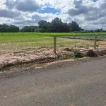Bán lô đất 250m² đường nhựa Long Thuận, Tây Ninh - 199 triệu - Ảnh thu nhỏ 2
