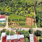 Bán đất mặt đường TL2 Sông Cầu hơn 600m2, giá 1.6 tỷ - Ảnh thu nhỏ 1