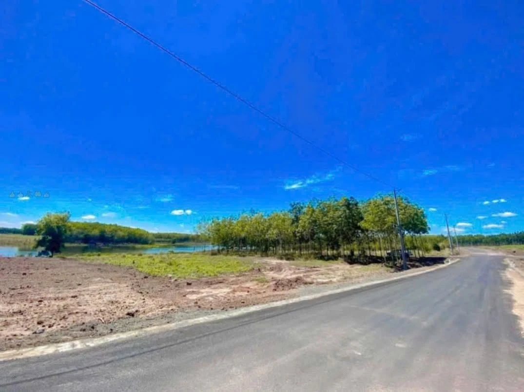 Bán đất view hồ 15x65m, mặt tiền đường nhựa, sổ sẵn - Ảnh thu nhỏ 4
