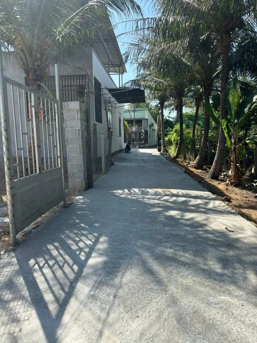 Bán lô đất Tân Hội 210m² - 1 tỷ 1 - Ảnh thu nhỏ 3