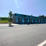 Bán đất Chơn Thành 5000m2 giá 1 tỷ 790 triệu - Ảnh thu nhỏ 3