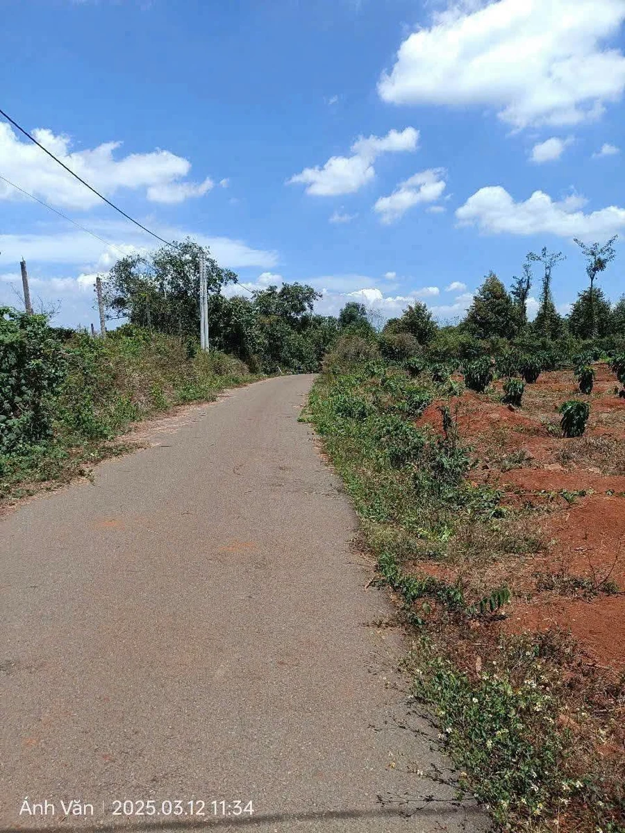 Bán đất 1 sào 3 Nghĩa Thành, view suối - Ảnh thu nhỏ 5