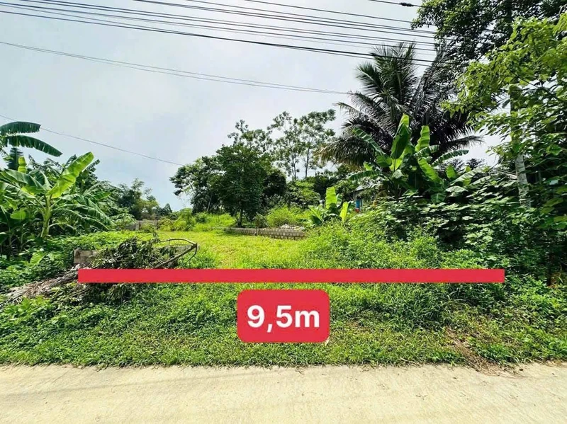 Đất bán lỗ 384m² Thanh Sơn Lương Sơn Hòa Bình 2.8tr/m²