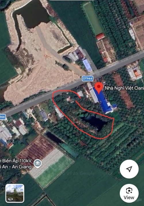 Cần bán 5000m2 đất cây lâu năm, có 200m2 thổ cư, mặt tiền Tỉnh lộ 944 - Ảnh thu nhỏ 3