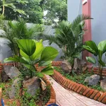 Bán nhà mái thái 288m2 3 phòng ngủ Hoà Long, Bà Rịa - Ảnh thu nhỏ 4