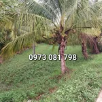 Bán đất mặt tiền QL57 An Định 1.500 m² Bến Tre - Ảnh thu nhỏ 2