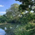 Bán đất vườn sinh thái 3.866 m² Ea Kao Buôn Ma Thuột - Ảnh thu nhỏ 4