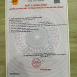 Đất góc 2 mặt tiền 299tr liền kề KCN Thạnh Đức và KCN Hiệp Thạnh, sổ riêng - Ảnh thu nhỏ 7