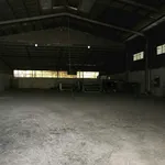 Bán xưởng mặt tiền Thanh Niên, Bình Chánh, 1.400m² - Ảnh thu nhỏ 3