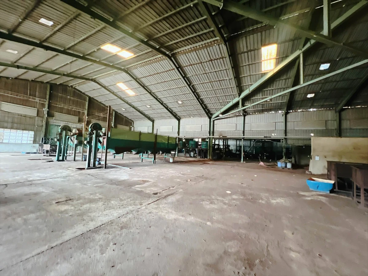 Cho thuê xưởng chế biến nông sản 20.000m² Đồng Nai - Ảnh thu nhỏ 5