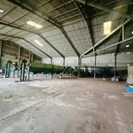 Cho thuê xưởng chế biến nông sản 20.000m² Đồng Nai - Ảnh thu nhỏ 5