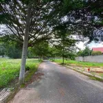Bán đất thổ cư 96,2m² sổ sẵn 1 tỷ 050 triệu khu công nghiệp Long Đức - Ảnh thu nhỏ 2
