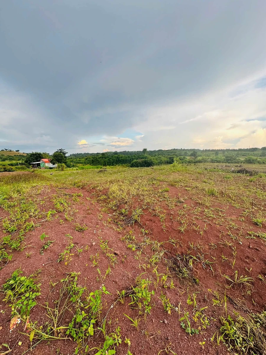 Bán đất 1,7 ha tại Buôn Đôn, Đắk Lắk giáp suối - Ảnh thu nhỏ 3