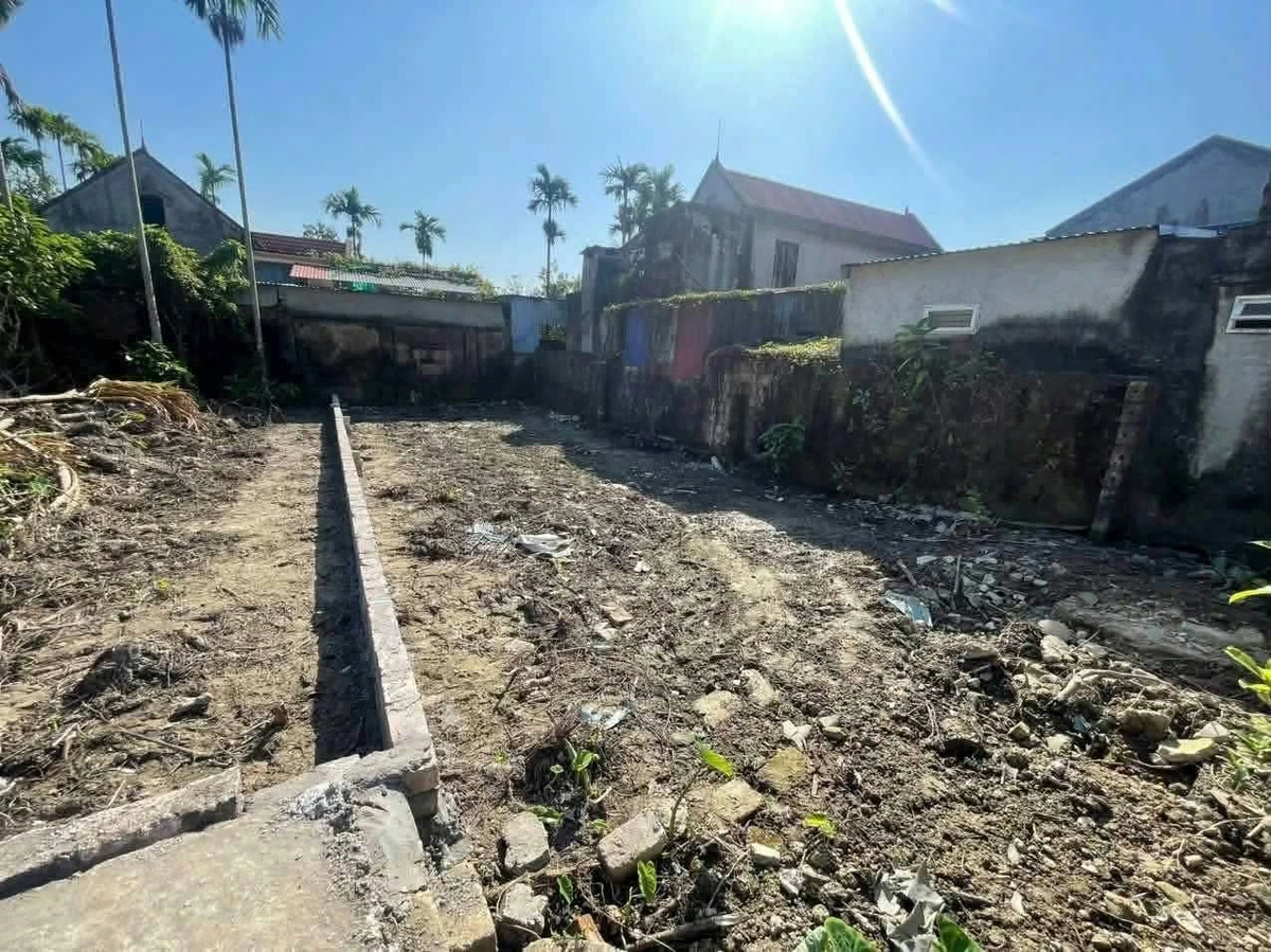 Bán nhà 100m2 ngang 6m Lâm Động, Thuỷ Nguyên, Hải Phòng - Ảnh thu nhỏ 4