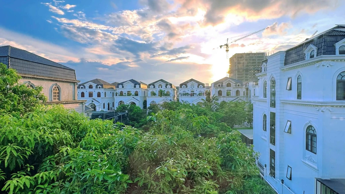 Biệt thự tân cổ điển Phú Mỹ An, Huế, 3 PN, 316m², 17 tỷ - Ảnh thu nhỏ 3
