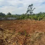 Bán đất 500m² Phường Ẹa Tam đường 19/5, 850 triệu - Ảnh thu nhỏ 3