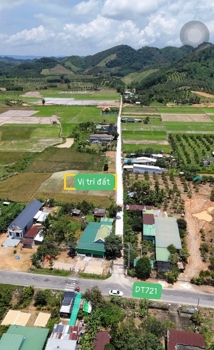 Bán đất 300m2 ngang 6m, 100m2 thổ cư, giá 239 triệu tại Đạ Tẻh, Lâm Đồng - Ảnh thu nhỏ 2