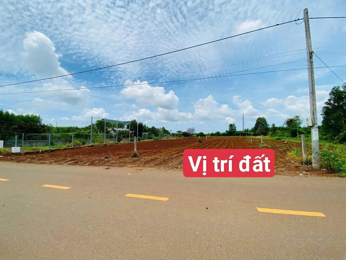 Bán đất mặt tiền Cách Mạng Tháng Tám, Đất Đỏ, 570m2 - Ảnh thu nhỏ 3