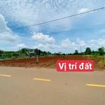Bán đất mặt tiền Cách Mạng Tháng Tám, Đất Đỏ, 570m2 - Ảnh thu nhỏ 3