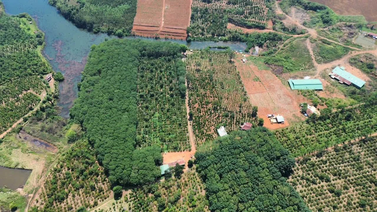 Bán đất vườn 5ha view hồ, 1,5ha cà phê, 1,5ha cao su tại xã Nhân Cơ - Ảnh thu nhỏ 2