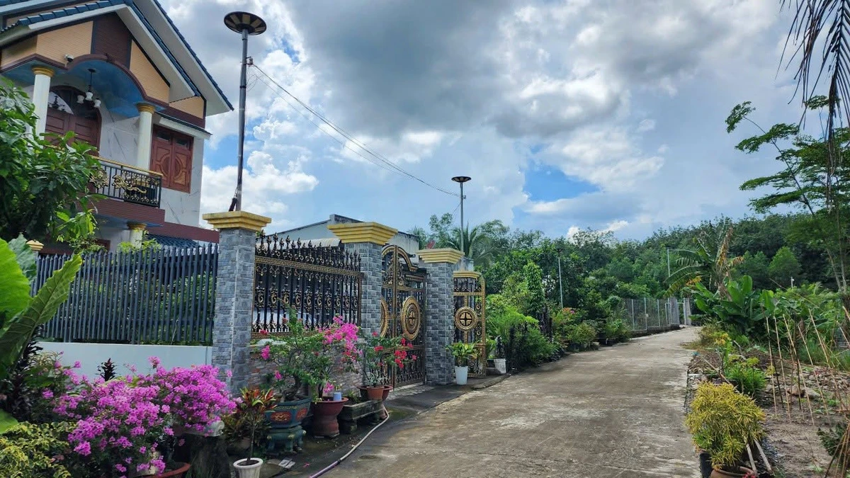 Bán đất 1200m² xã Đồi 61, Bình Dương, 2 tỷ - Ảnh thu nhỏ 3