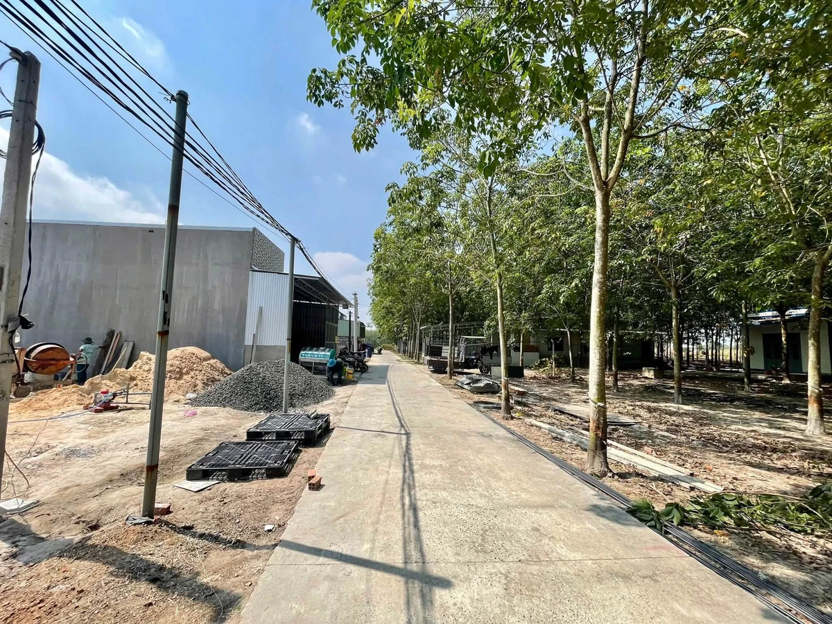 Bán đất nền 100m2 khu công nghiệp Becamex Bình Dương - Ảnh thu nhỏ 2
